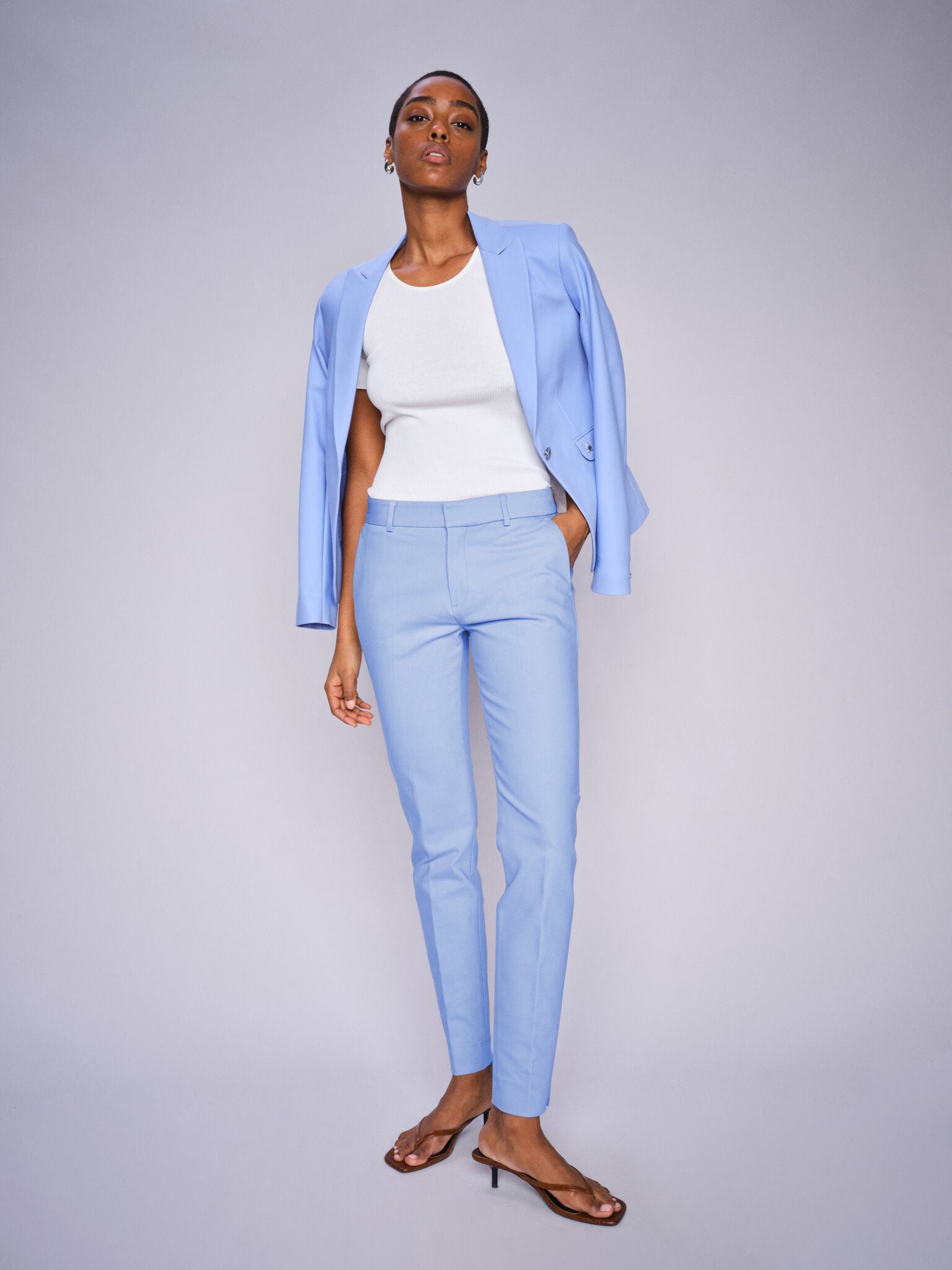 Modelshot / Hydrangea / Detail